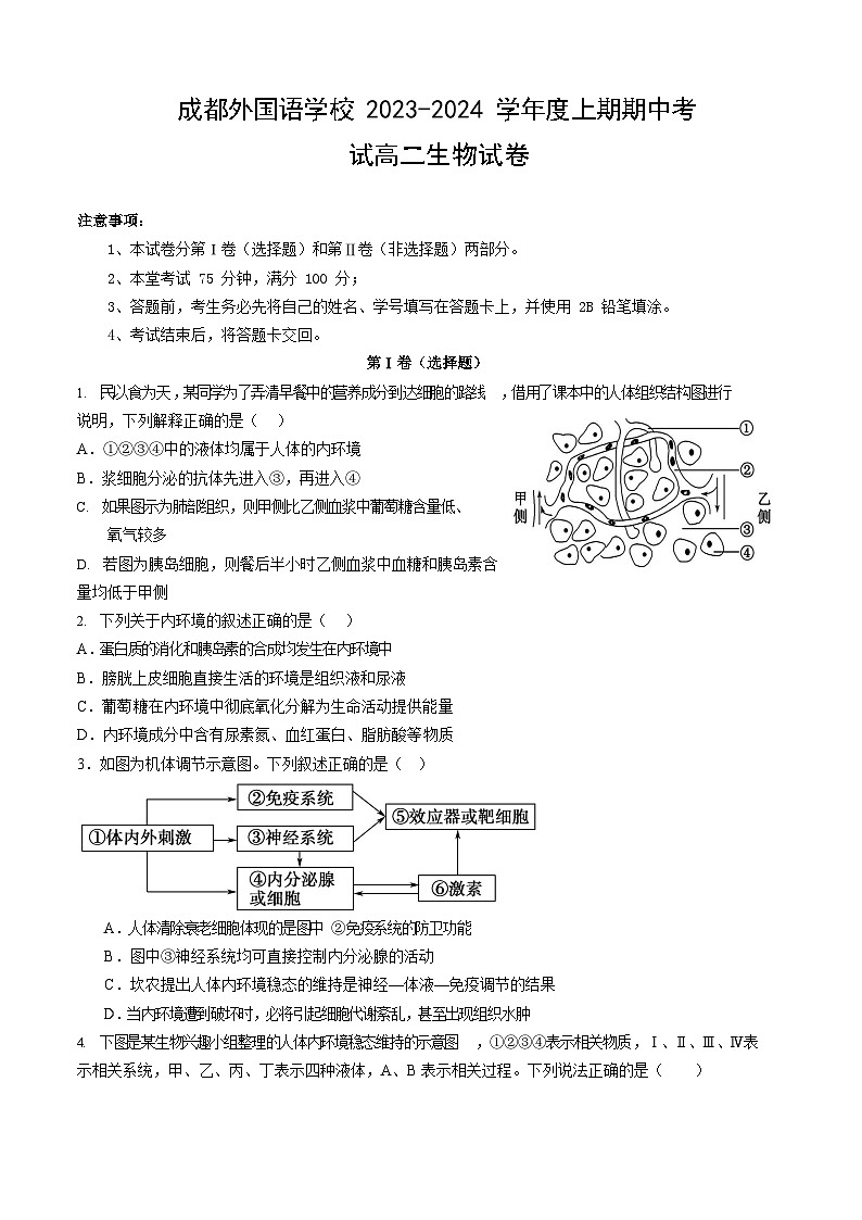 2023-2024学年四川省成都外国语学校高二上学期期中考试生物含答案01