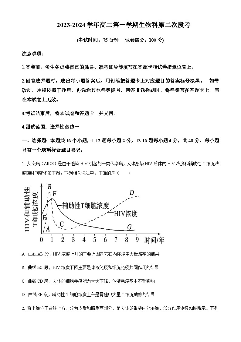 2023-2024学年广东省四会中学、广信中学高二上学期第二次月考试题生物含答案01