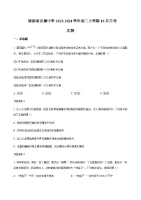 2023-2024学年陕西省安康中学高二上学期10月月考生物含答案