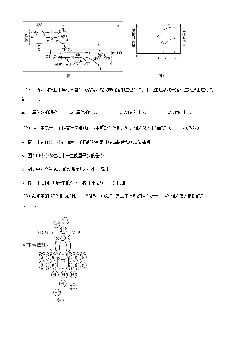 2023-2024学年上海交通大学附属中学高二上学期10月月考试题生物含答案03