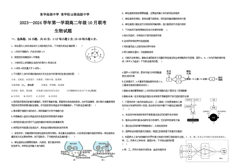 2023-2024学年广东省东莞市东华高级中学、东华松山湖高级中学高二上学期10月联考试题生物含答案第1页
