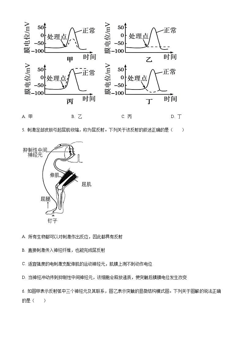 2023-2024学年黑龙江省大庆实验中学二部高二上学期10月阶段性考试生物Word版含解析02