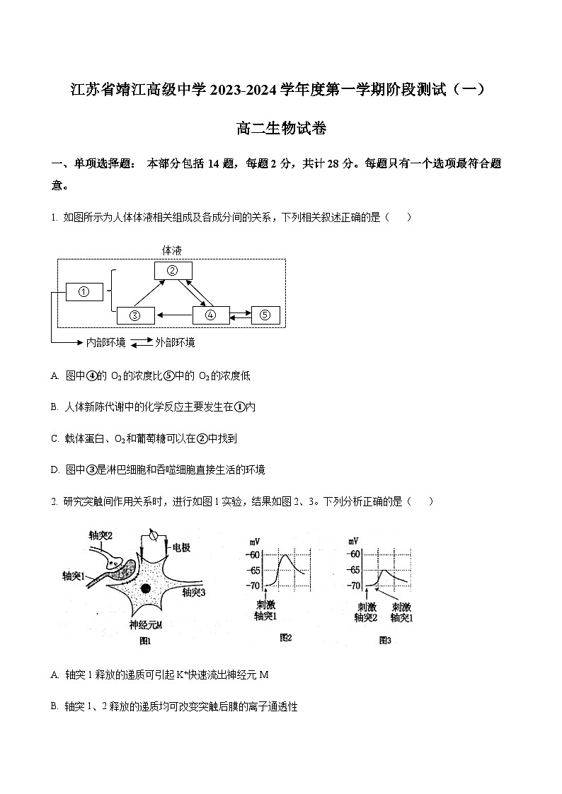 2023-2024学年江苏省靖江高级中学高二上学期10月阶段测试（一）生物含答案第1页