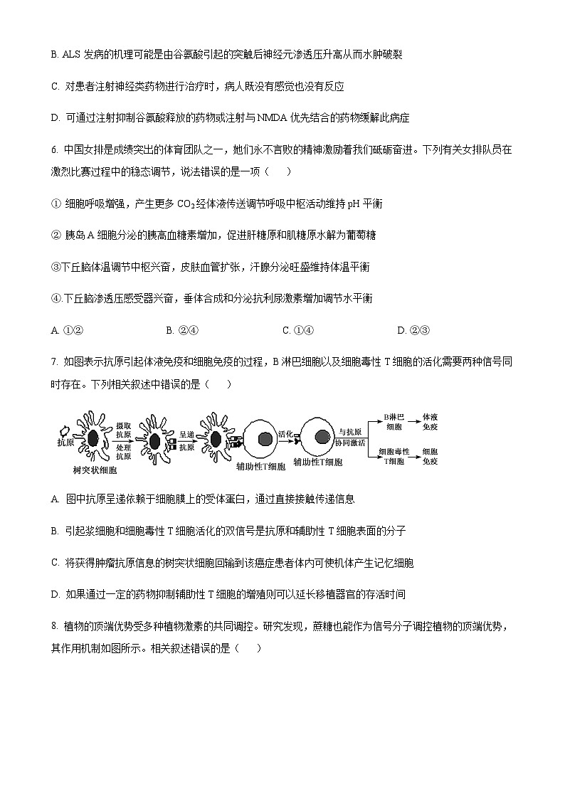 2023-2024学年江苏省靖江高级中学高二上学期10月阶段测试（一）生物含答案第3页
