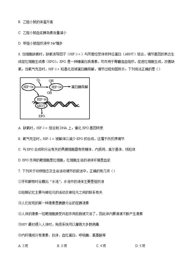 2022-2023学年山东省枣庄市第三中学高二上学期期中生物试题word版含解析03