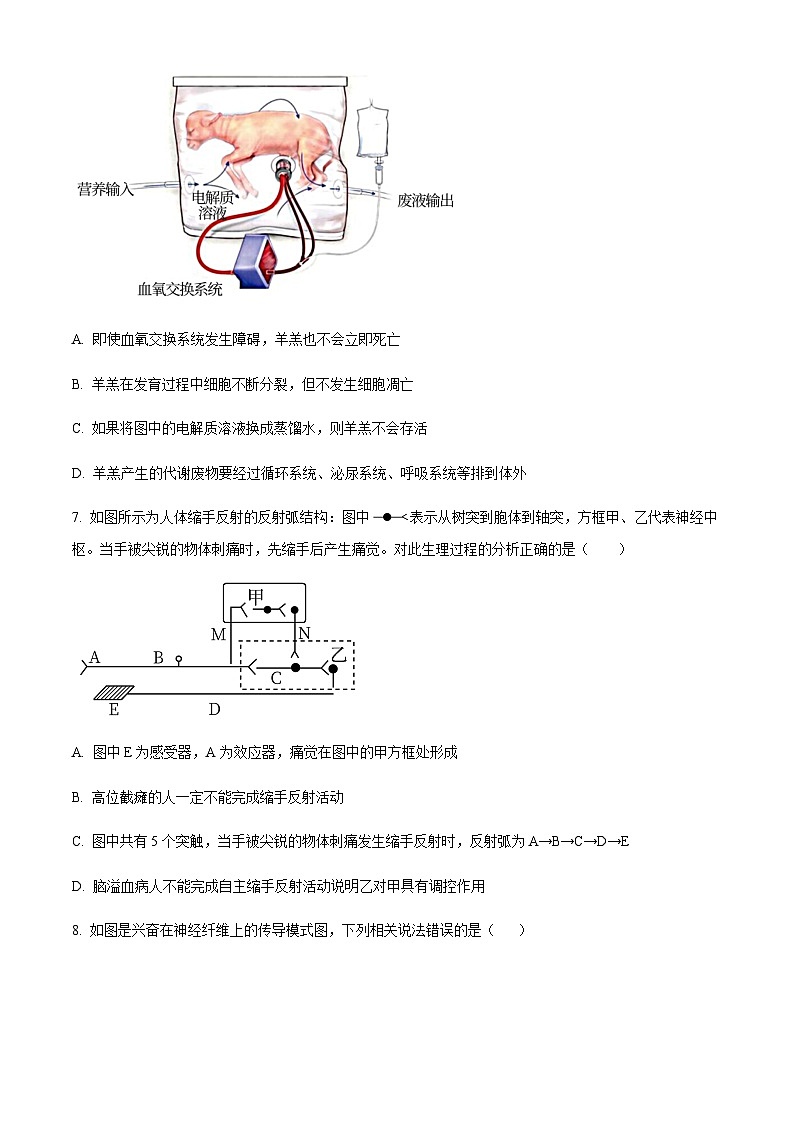 2022-2023学年山西大学附属中学高二上学期11月期中生物试题含答案03