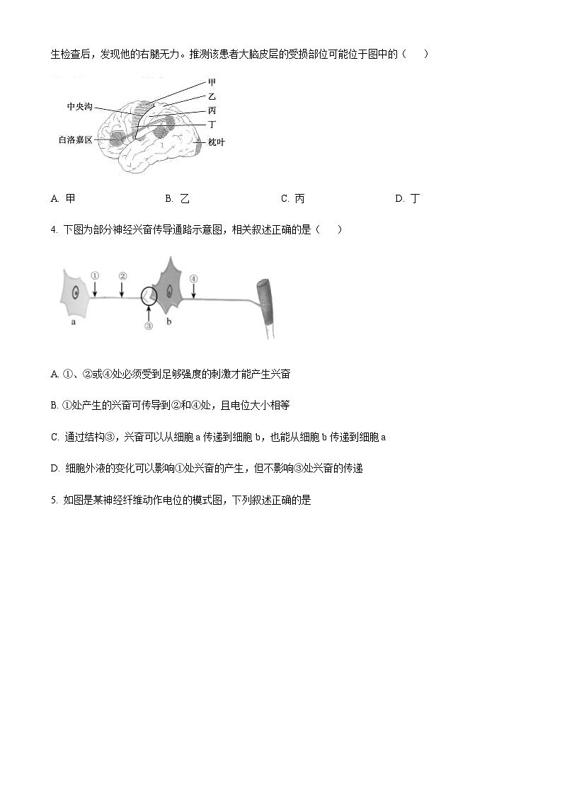 山西省阳泉市第一中学2022-2023学年高二上学期期中生物试题（原卷版）第2页