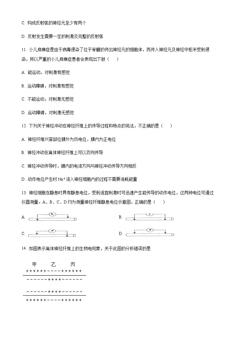 2022-2023学年四川省遂宁市射洪中学高二11月期中生物试题含答案03