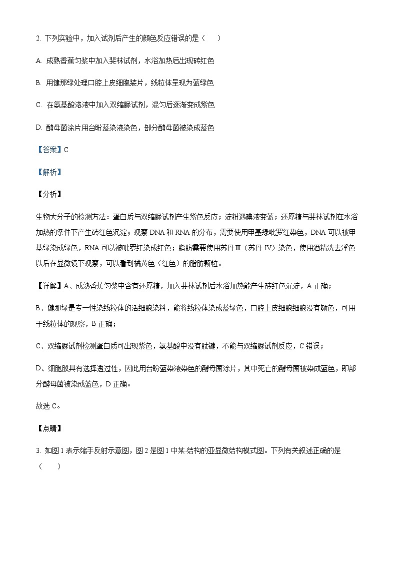 2022-2023学年新疆阿图什市克孜勒苏柯尔克孜自治州第一中学高二上学期期中生物试题含答案02