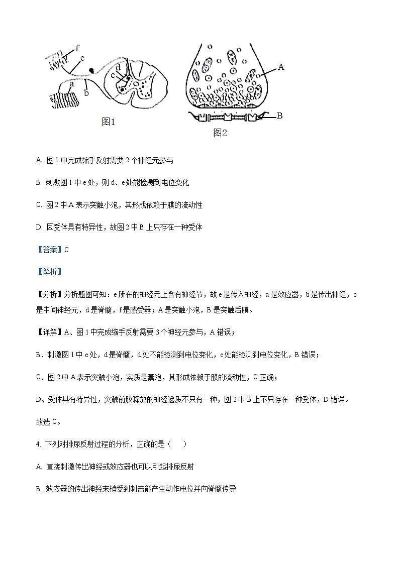 2022-2023学年新疆阿图什市克孜勒苏柯尔克孜自治州第一中学高二上学期期中生物试题含答案03
