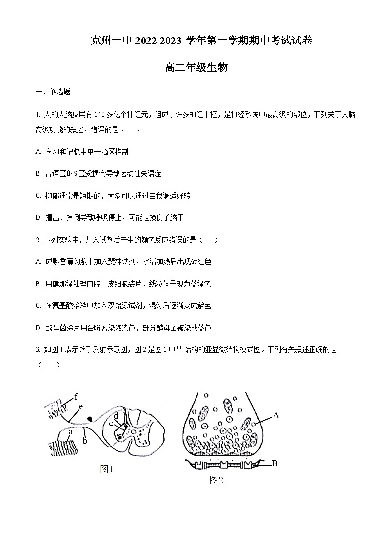 2022-2023学年新疆阿图什市克孜勒苏柯尔克孜自治州第一中学高二上学期期中生物试题含答案01