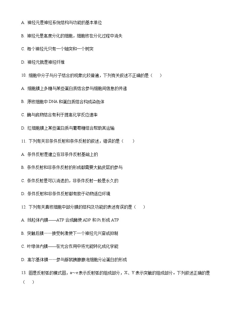 2022-2023学年新疆和田地区第二中学高二上学期期中生物试题含答案03