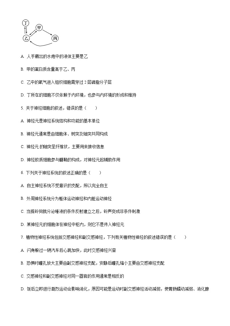 2022-2023学年辽宁省大连市八中高二10月月考生物含答案02