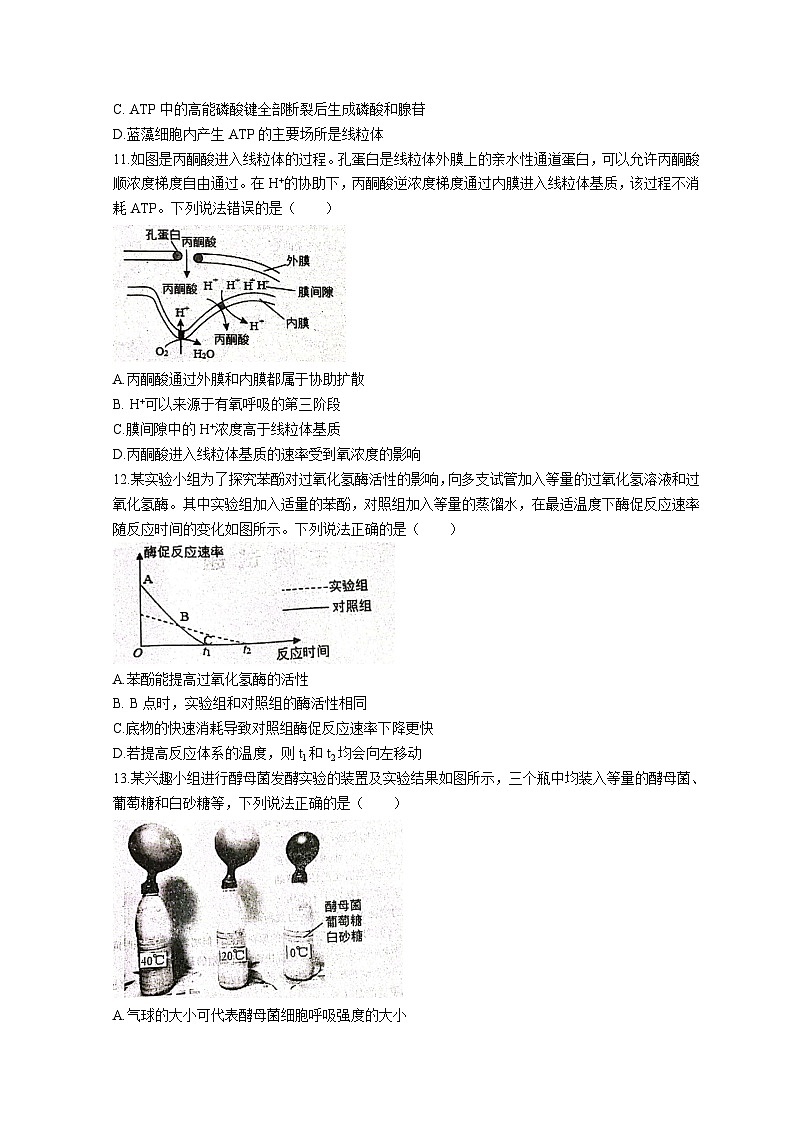 山东省菏泽市鄄城县第一中学2022-2023学年高二6月月考生物试题 word版含解析第3页