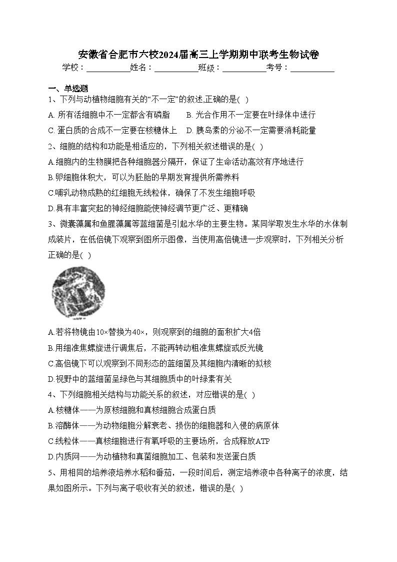安徽省合肥市六校2024届高三上学期期中联考生物试卷(含答案)第1页