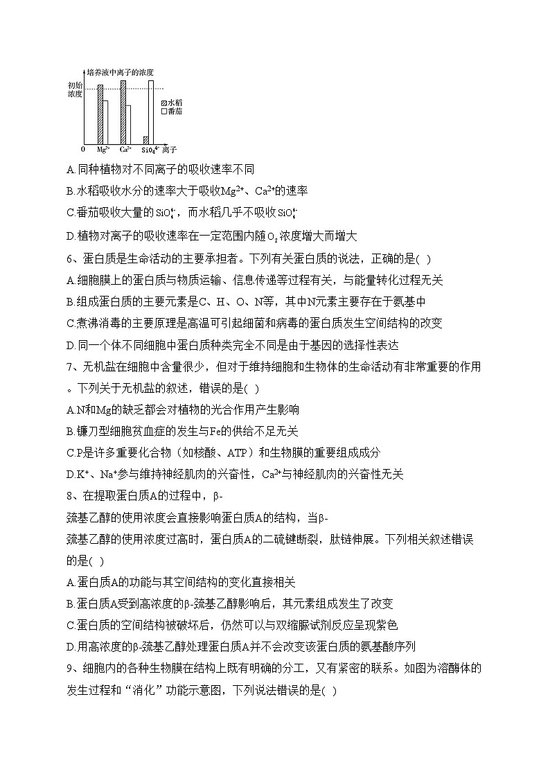 安徽省合肥市六校2024届高三上学期期中联考生物试卷(含答案)第2页
