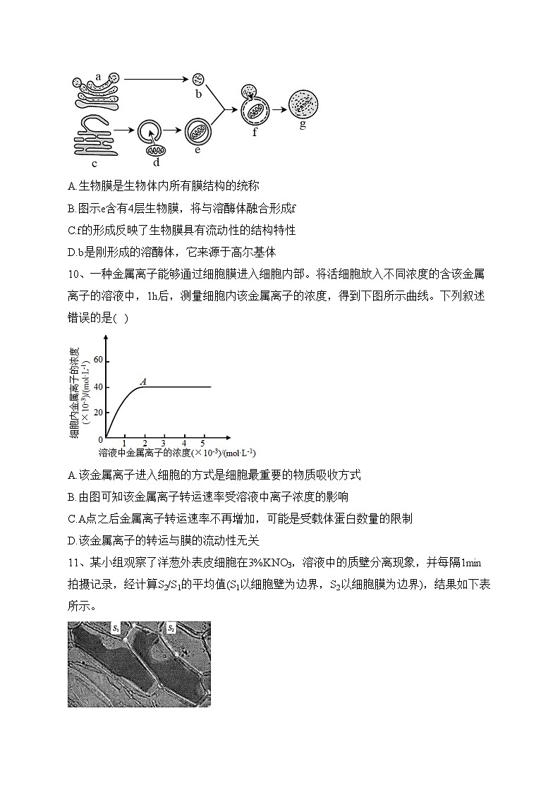 安徽省合肥市六校2024届高三上学期期中联考生物试卷(含答案)第3页