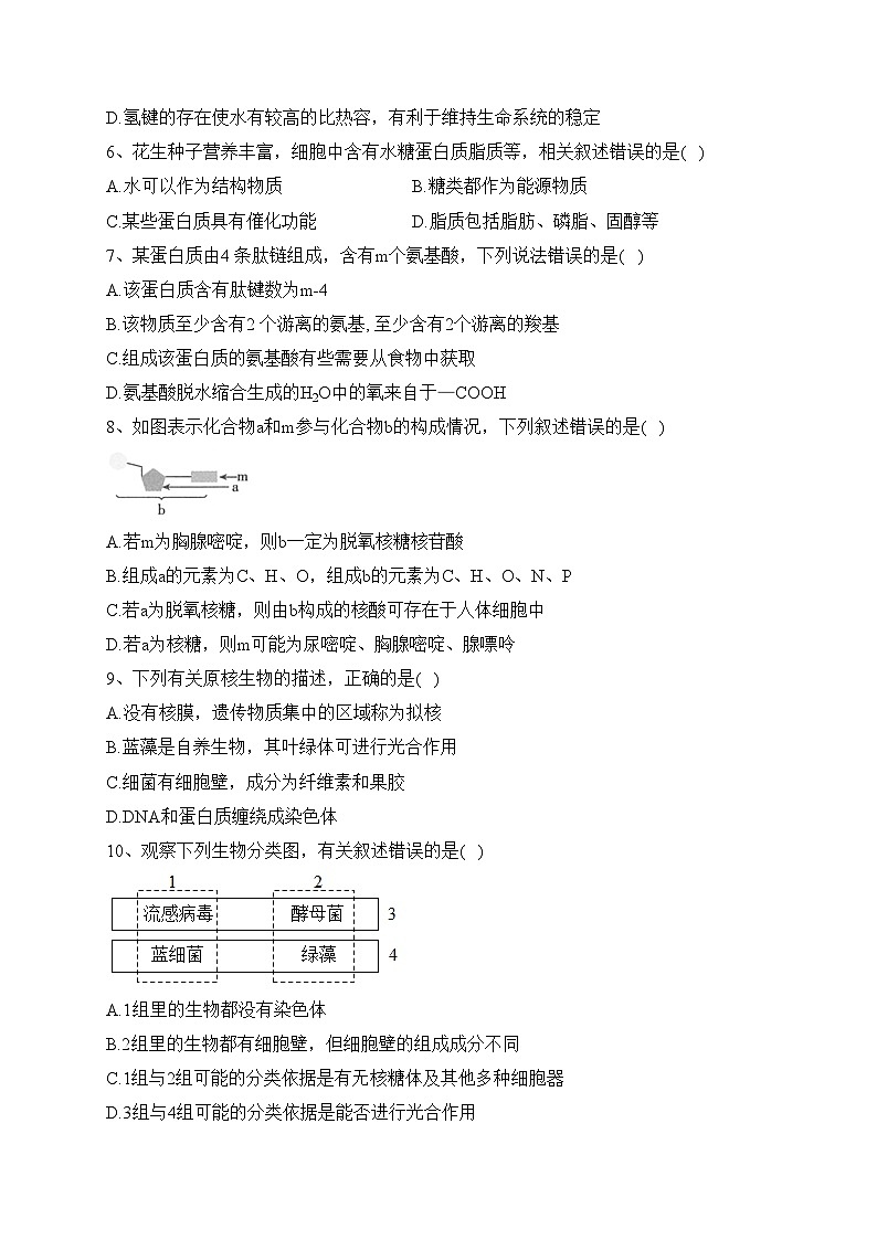 江苏省泰州中学2023-2024学年高一上学期第一次月度检测生物试卷(含答案)第2页