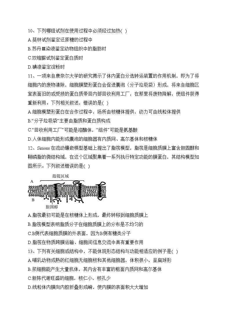 辽宁省辽西联合校2023-2024学年高一上学期期中生物试卷(含答案)第3页