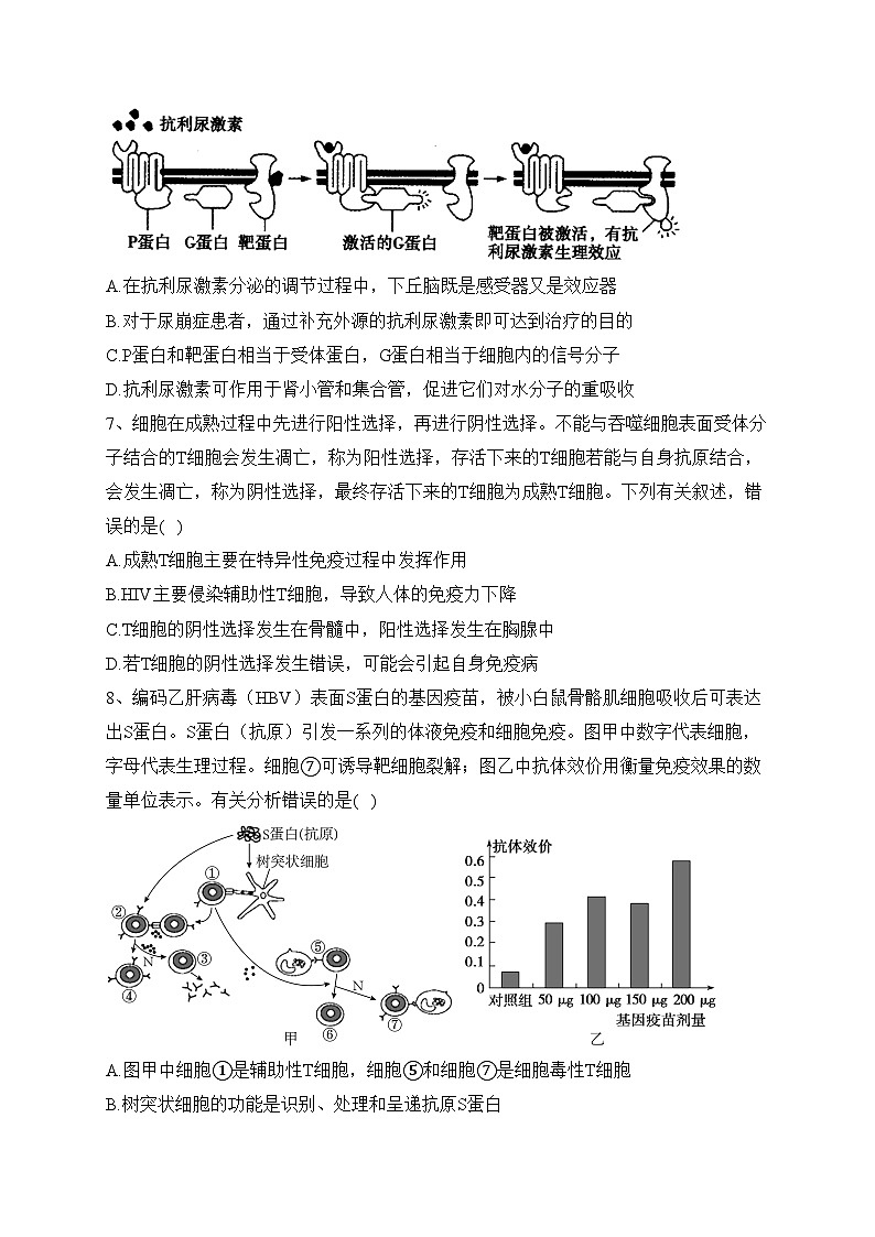 山东省临沂市一中2022-2023学年高二上学期期末生物试卷(含答案)03