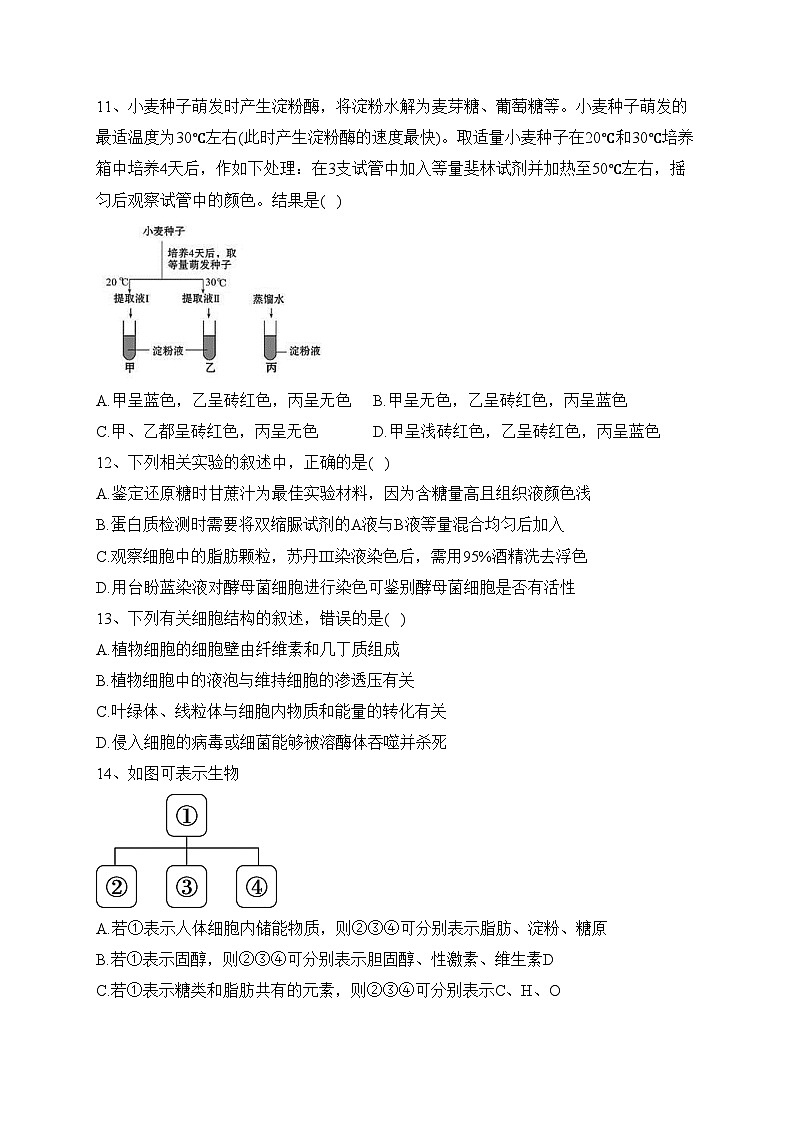 陕西省西安市铁一中学2023—2024学年高一上学期期中质量检测生物试卷(含答案)03