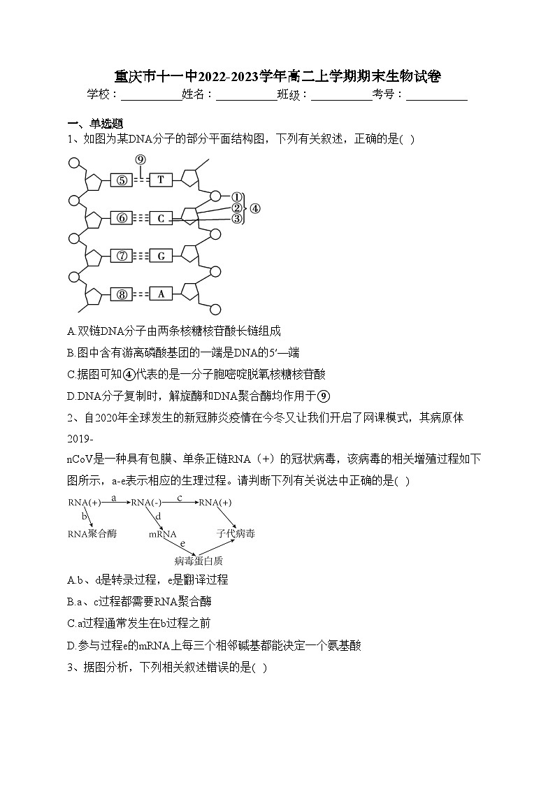 重庆市十一中2022-2023学年高二上学期期末生物试卷(含答案)01