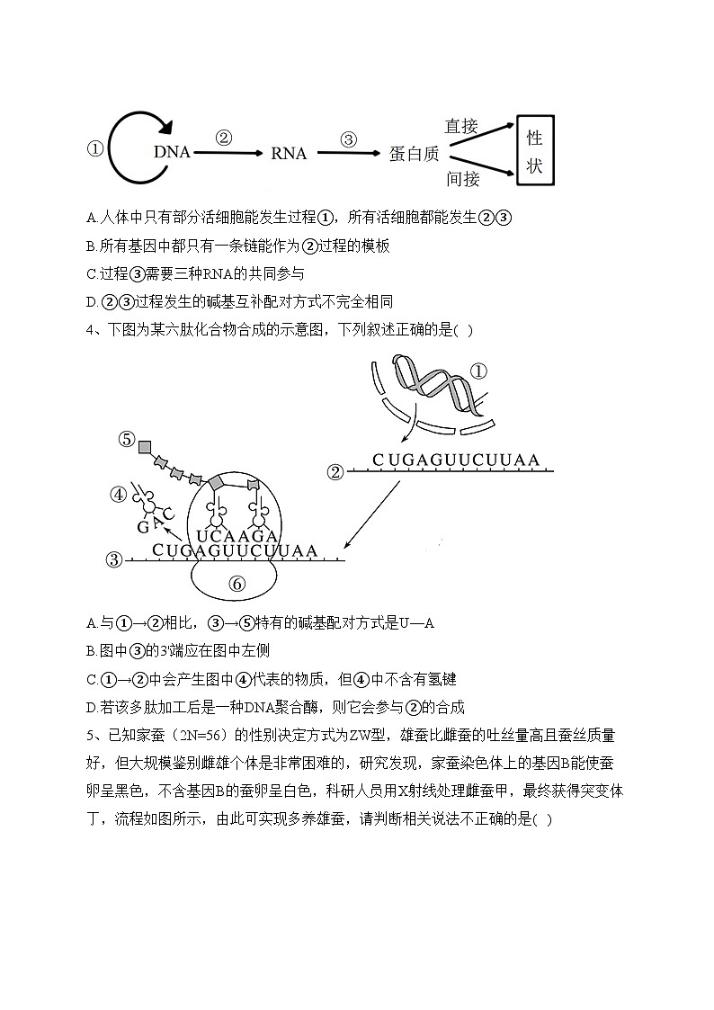 重庆市十一中2022-2023学年高二上学期期末生物试卷(含答案)02