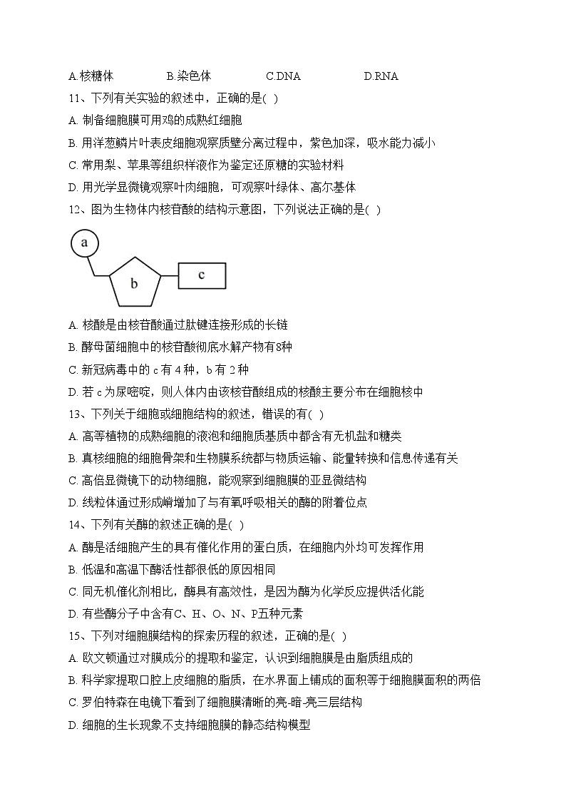 重庆市十一中2022-2023学年高一上学期期末生物试卷(含答案)03