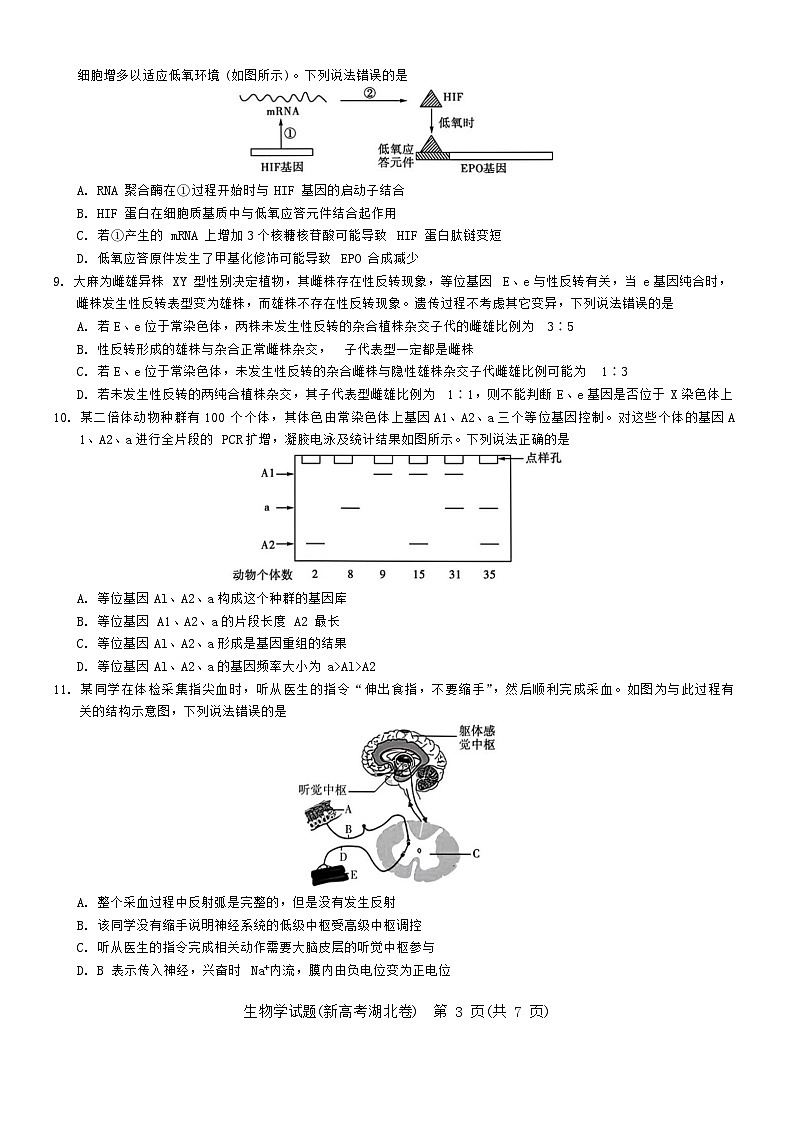 湖北省名校联考2023-2024学年高三上学期期中联考生物试题03