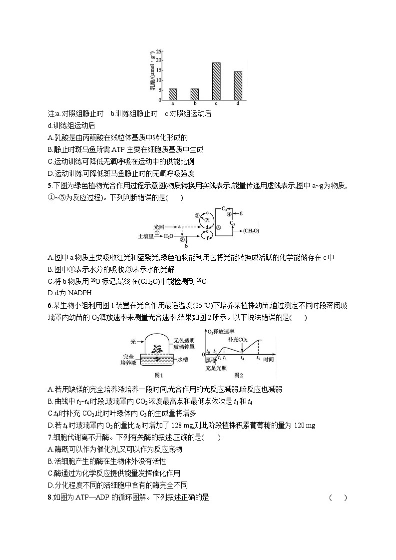 高中考试生物单元质检卷(三)_——细胞的代谢第2页
