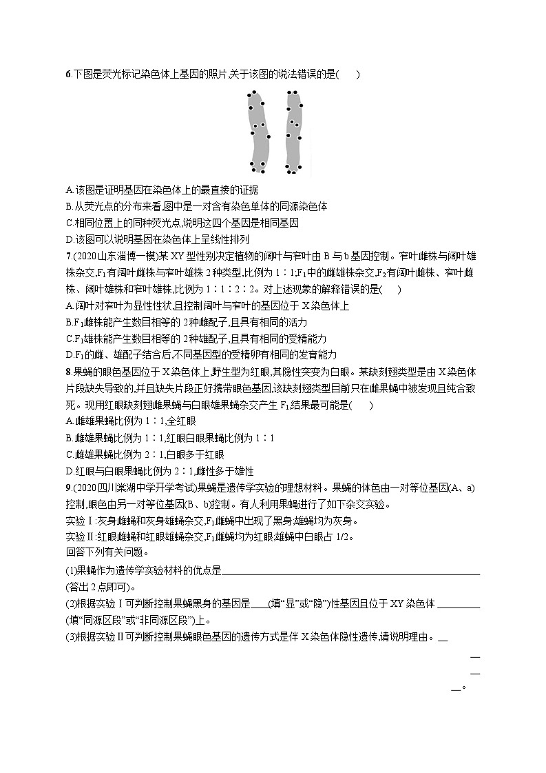 高中考试生物特训练习含答案——伴性遗传第2页