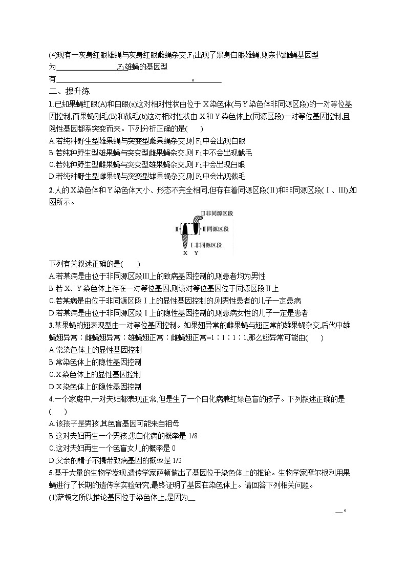 高中考试生物特训练习含答案——伴性遗传第3页