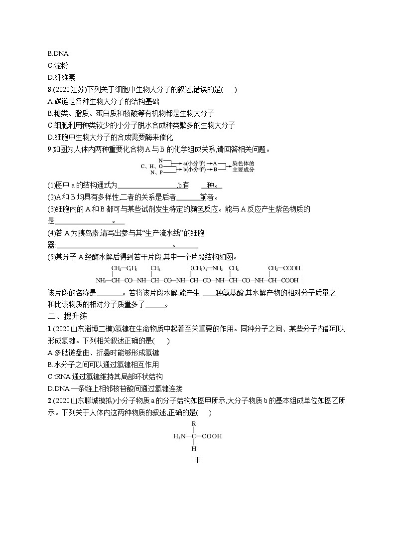 高中考试生物特训练习含答案——蛋白质和核酸第2页