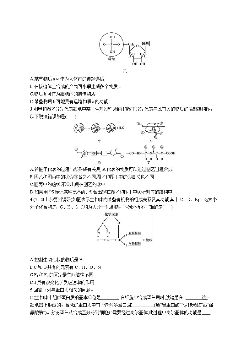 高中考试生物特训练习含答案——蛋白质和核酸第3页