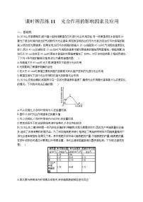 高中考试生物特训练习含答案——光合作用的影响因素及应用