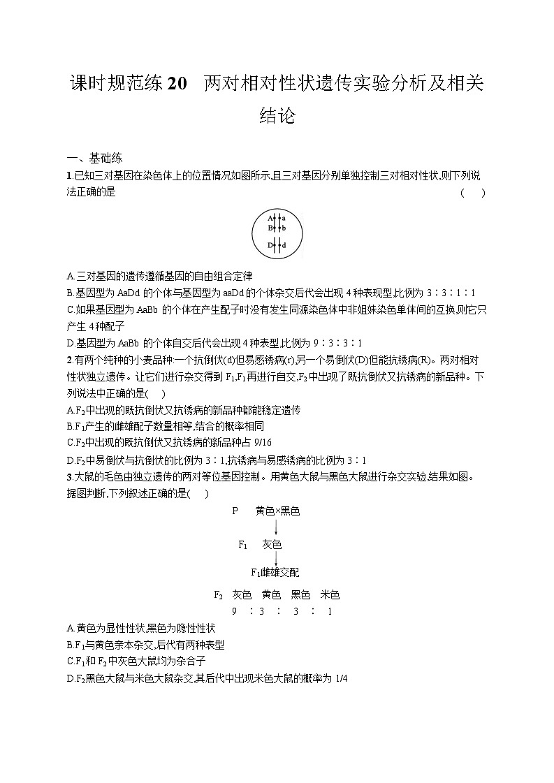 高中考试生物特训练习含答案——两对相对性状遗传实验分析及相关结论第1页