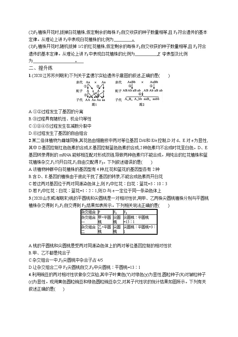 高中考试生物特训练习含答案——两对相对性状遗传实验分析及相关结论第3页