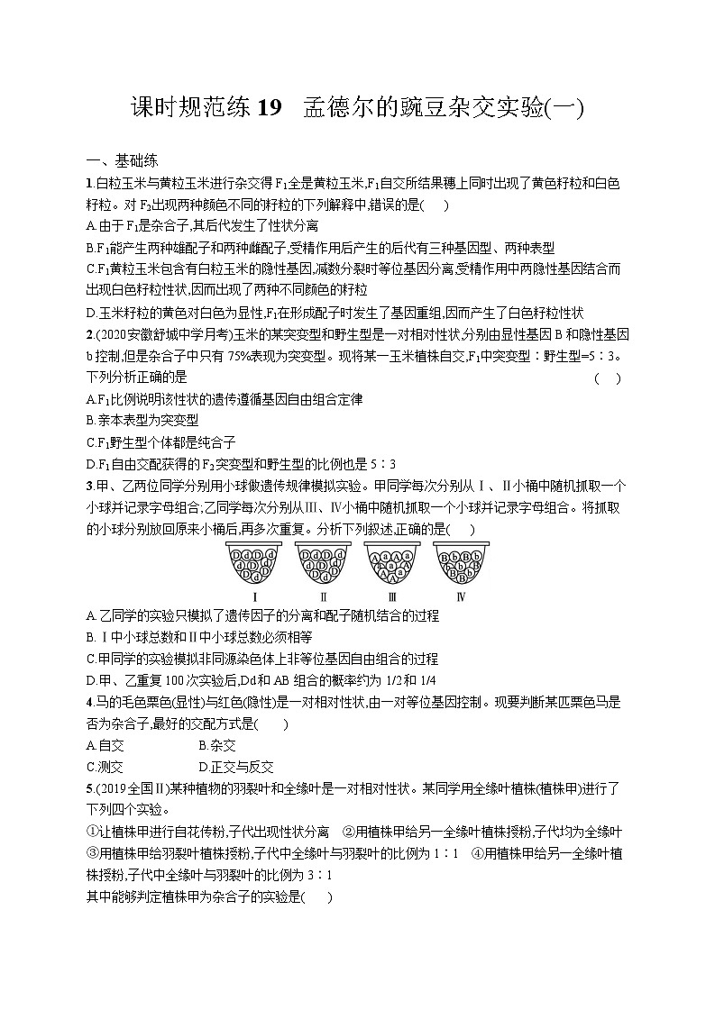 高中考试生物特训练习含答案——孟德尔的豌豆杂交实验(一)第1页