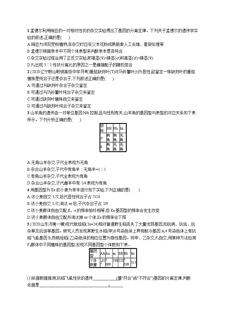 高中考试生物特训练习含答案——孟德尔的豌豆杂交实验(一)第3页
