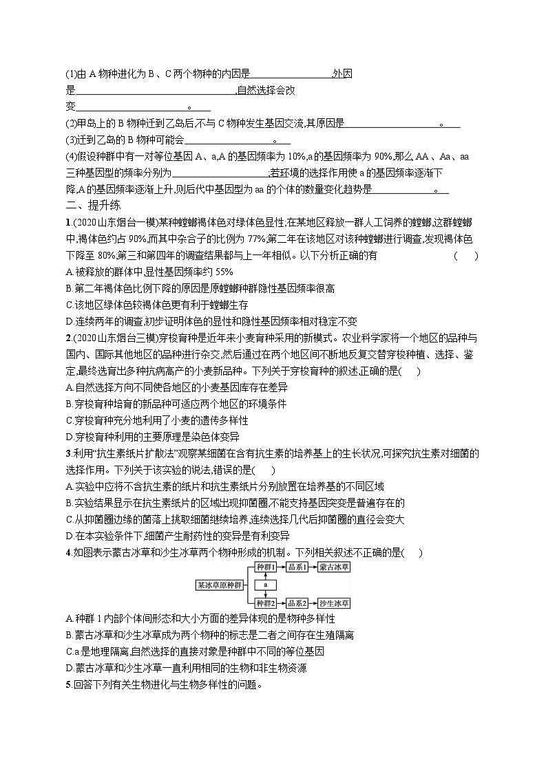 高中考试生物特训练习含答案——生物的进化03