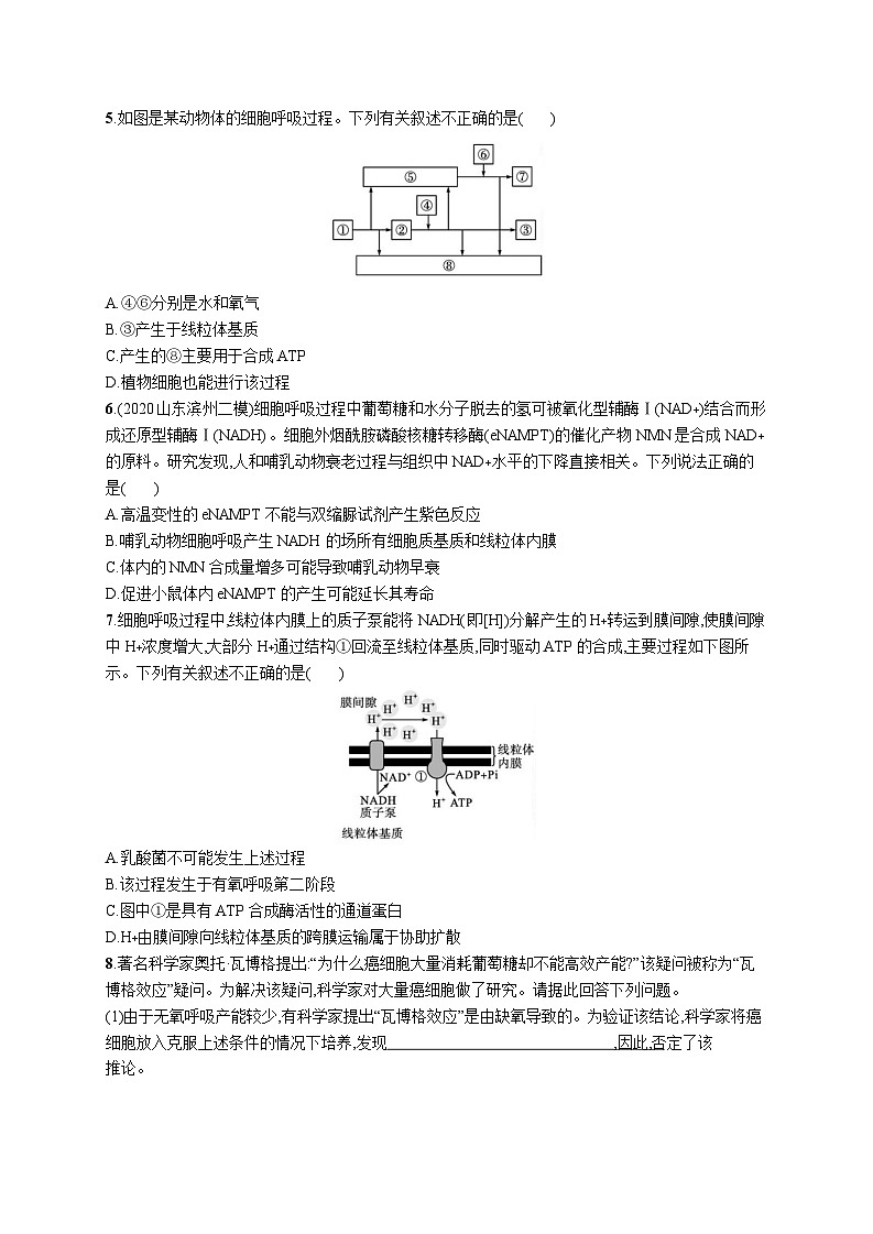 高中考试生物特训练习含答案——细胞呼吸的类型及过程02