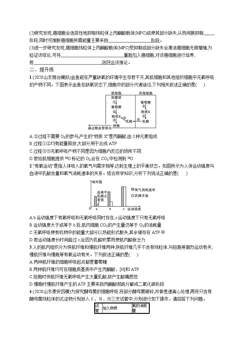高中考试生物特训练习含答案——细胞呼吸的类型及过程03
