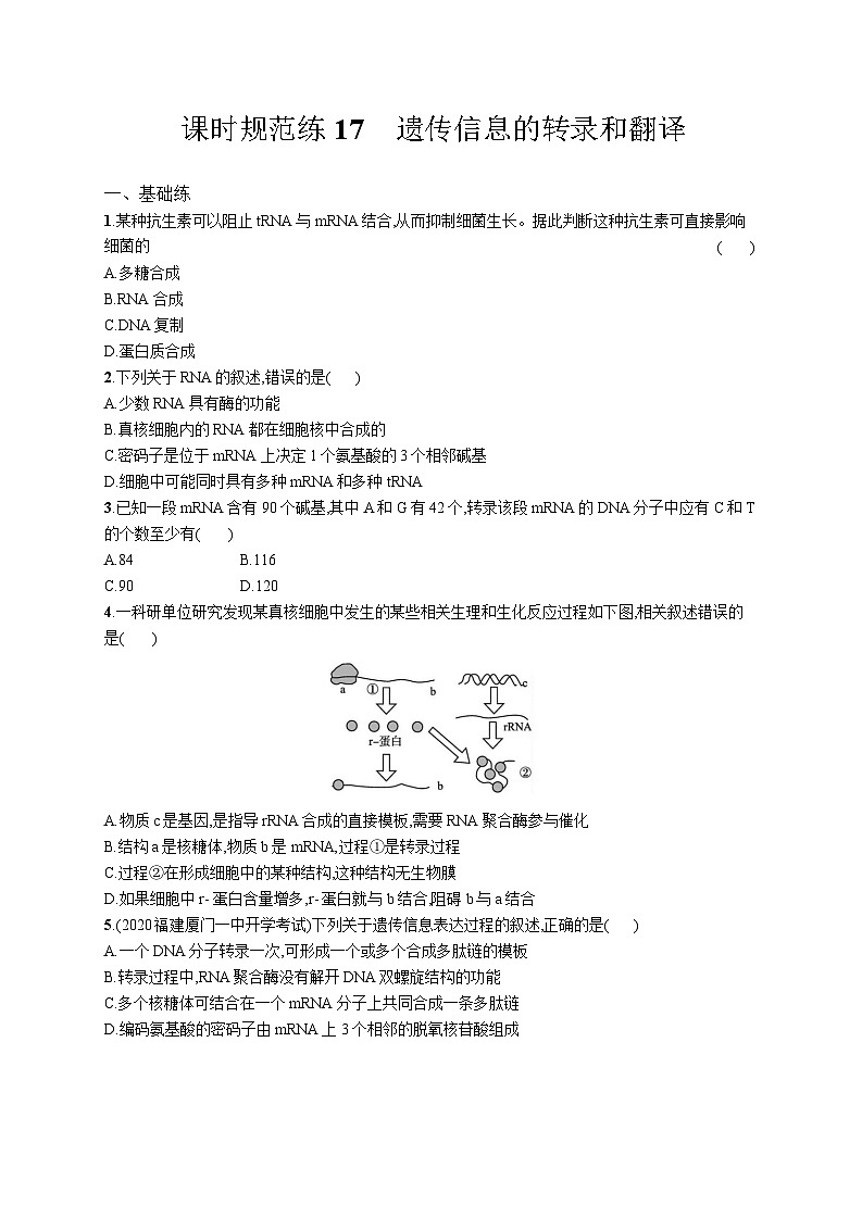 高中考试生物特训练习含答案——遗传信息的转录和翻译第1页