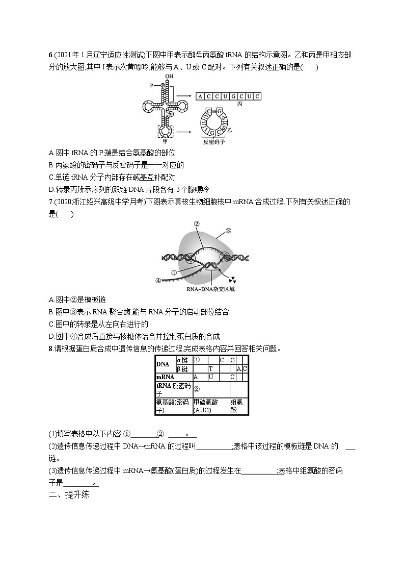 高中考试生物特训练习含答案——遗传信息的转录和翻译第2页