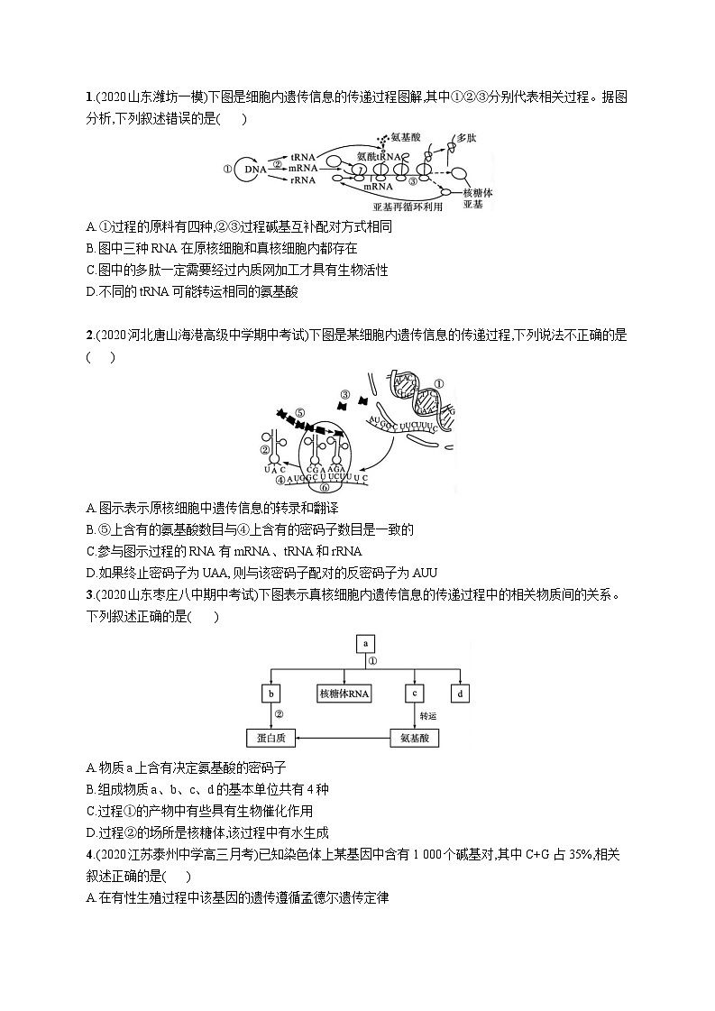 高中考试生物特训练习含答案——遗传信息的转录和翻译第3页