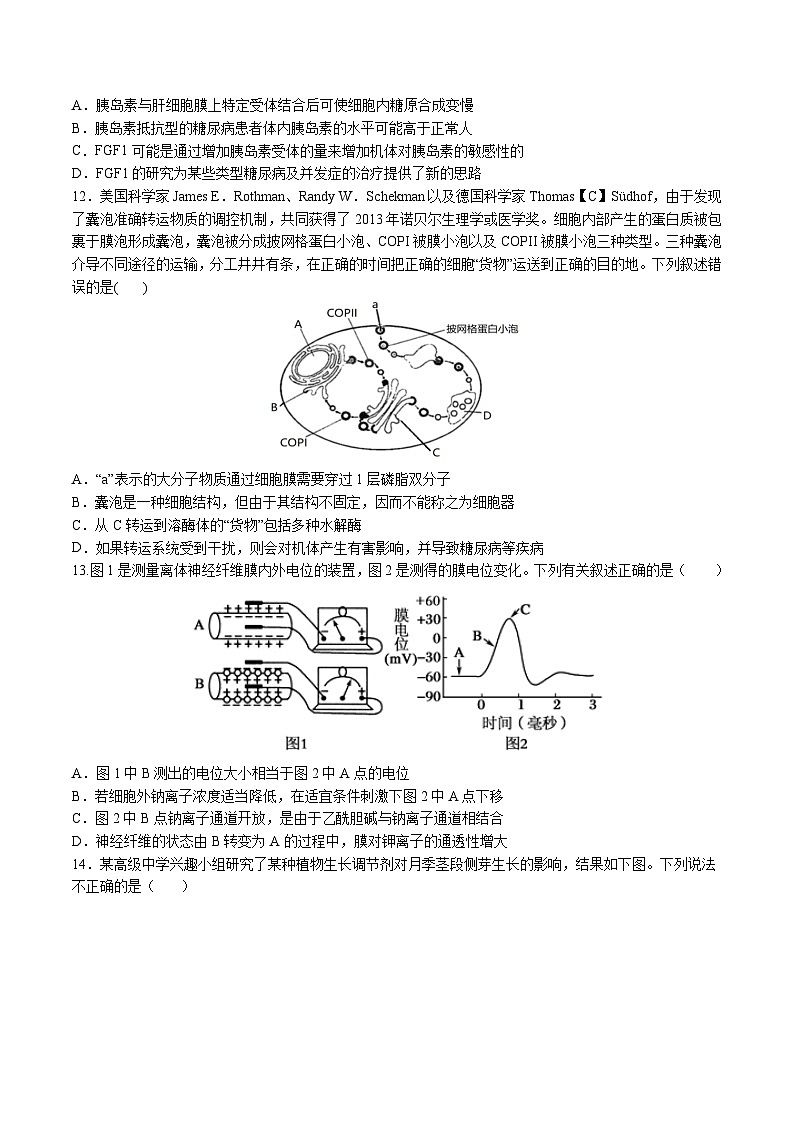 四川省眉山市彭山区第一中学2023-2024学年高二上学期12月月考生物试题03