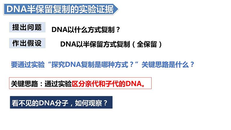 人教版高中生物必修二3.3DNA的复制 课件+同步分层练习（含答案解析）04