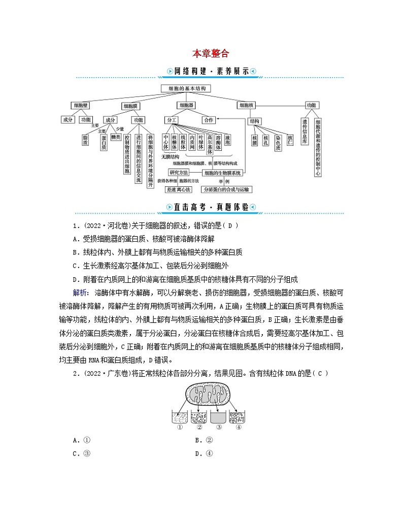 新教材适用2023_2024学年高中生物第3章细胞的基本结构本章整合学案新人教版必修101