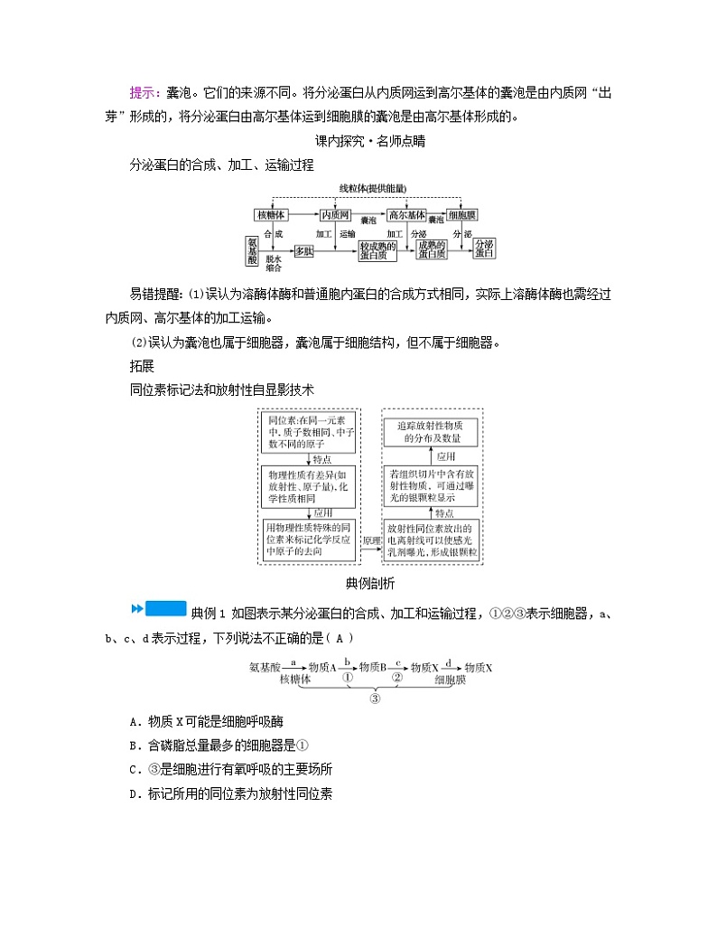新教材适用2023_2024学年高中生物第3章细胞的基本结构第2节细胞器之间的分工合作第2课时细胞器之间的协调配合和细胞的生物膜系统学案新人教版必修102