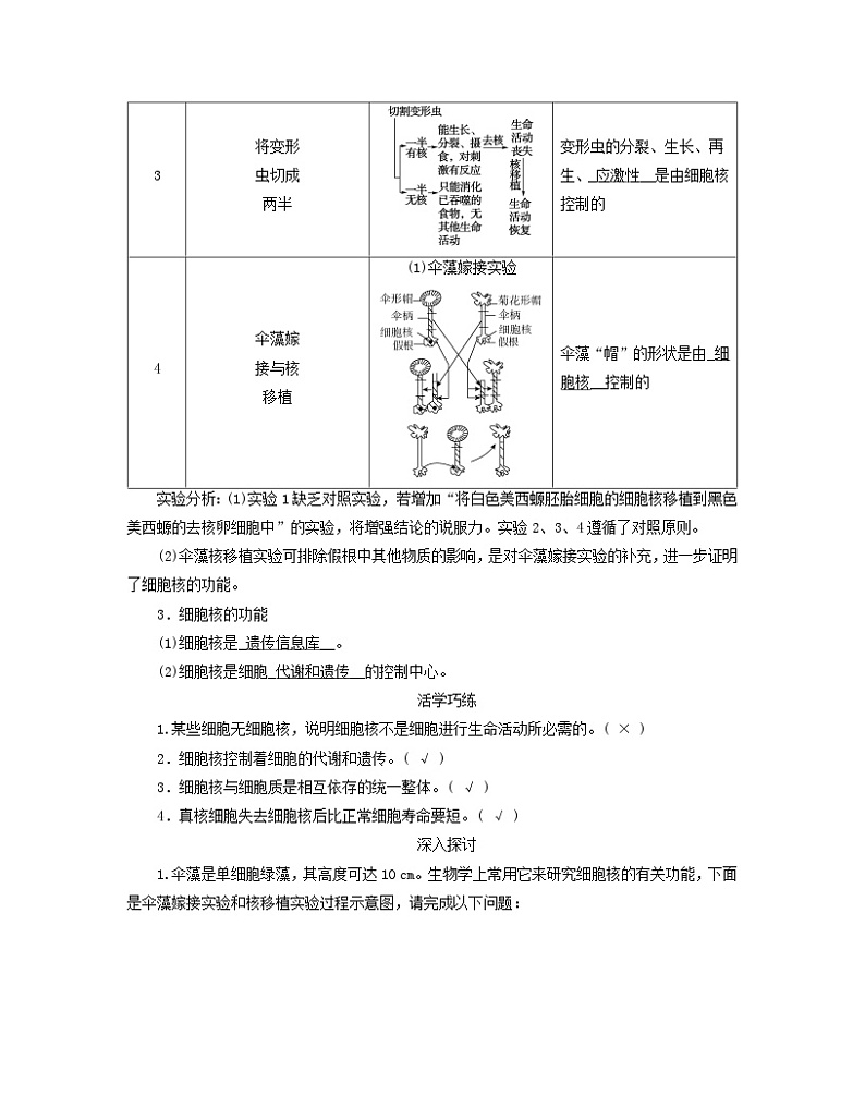 新教材适用2023_2024学年高中生物第3章细胞的基本结构第3节细胞核的结构和功能学案新人教版必修102